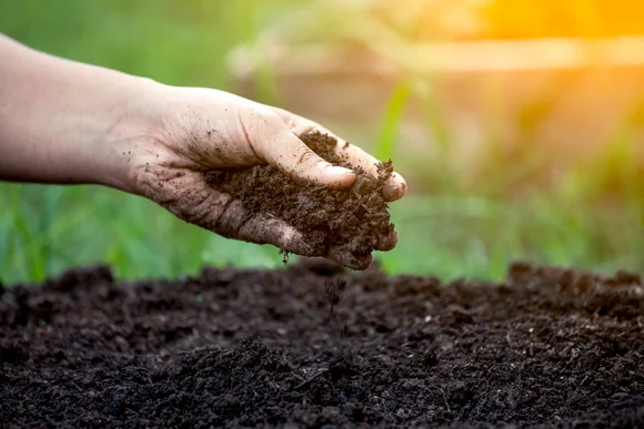 Hand hält fruchtbare Erde